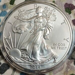 2014 1oz .999 Fine Silver American Eagle Coin